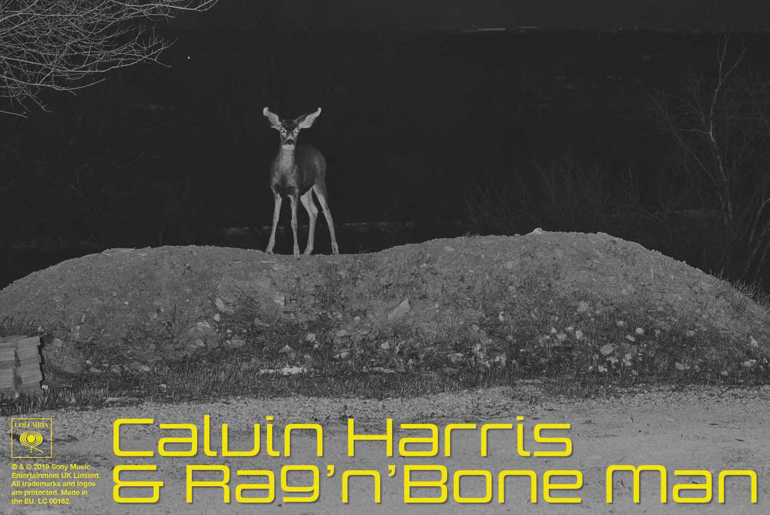 Calvin Harris i Rag'n'Bone - CH_GIANT_1500-copy