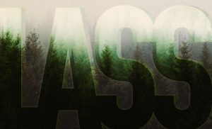 Łąki Łan - LASS [Single Cover]