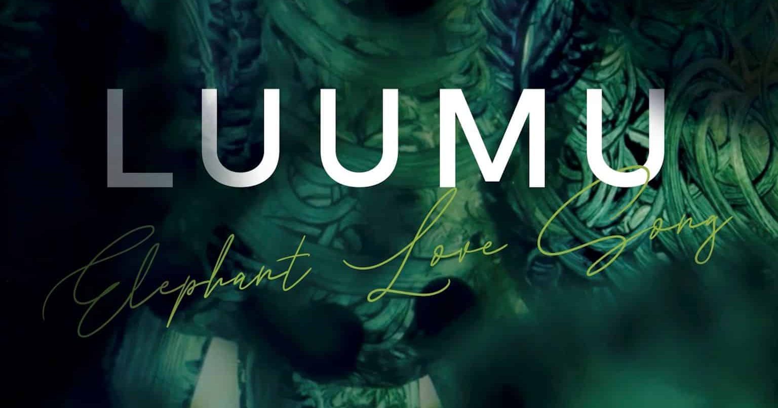 Luumu_Elephant love song