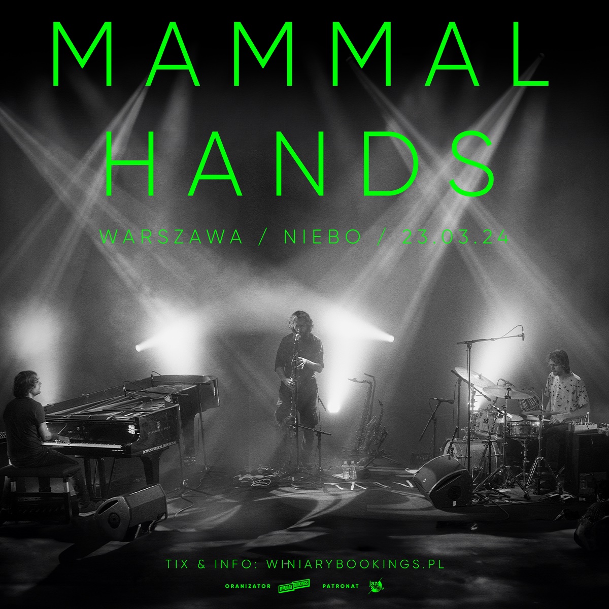 mammal-hands_warszawa2024.jpg