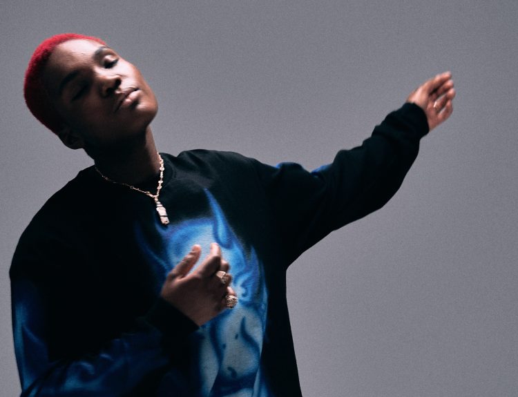 Arlo Parks photo (c) Sully