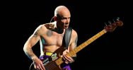 Flea